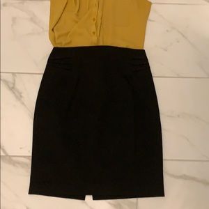 Express Pencil Skirt - 6